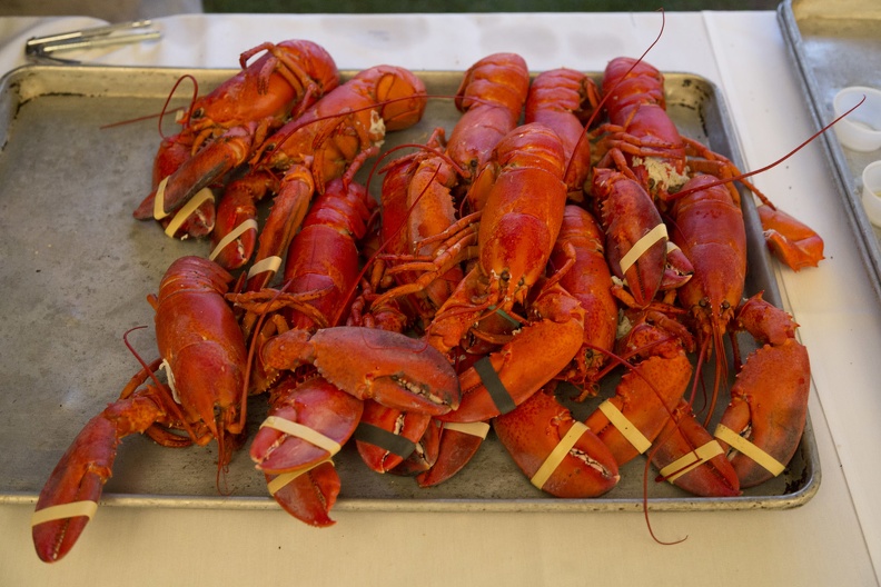 403-4568 Reunion 2014 Class Clambake.jpg